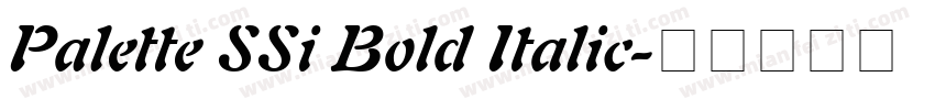 Palette SSi Bold Italic字体转换
